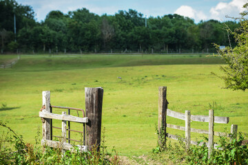 Open gate to a field at a nature reserve during a warm summer day