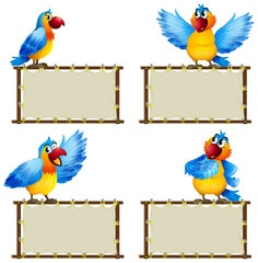 Board template with cute parrot on white background