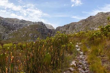 Foto op Canvas beautiful landscpae of the Bain's Kloof, Wellington, Western Cape, South Africa © Christian Dietz