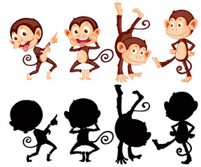 Monkey with its silhouette