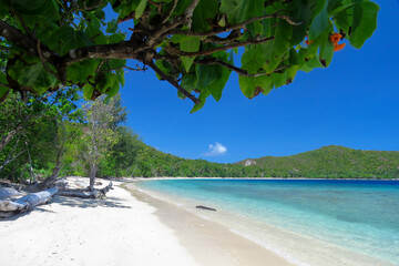 Clear beach, clear air, blue color, this is the view in Piaynemo Island, Raja Ampat, West Papua, Indonesia