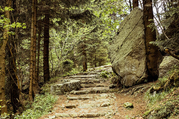 Big rock on a hikiing trail 
