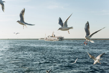Passenger ship or ferry