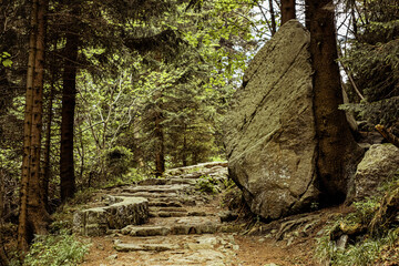 Huge stone on hiking trail
