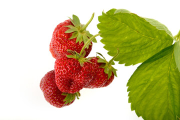 Pile of fresh strawberries with strawberry leaves on a white background