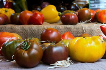 Pomodori
