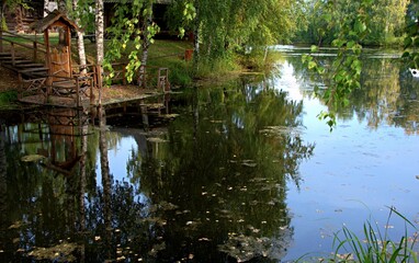 Obraz premium reflection of trees in the water