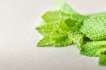 Fresh sprigs of mint lie on the table. Shallow depth of field.