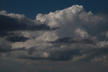 sunrise, city, nature, clouds, flowers