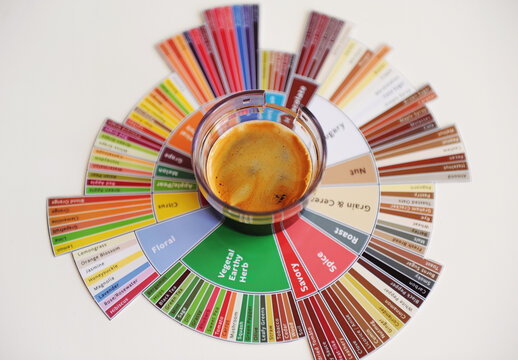 Espresso coffee shot on taster's flavor wheel top view. White background