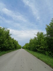 road in the forest