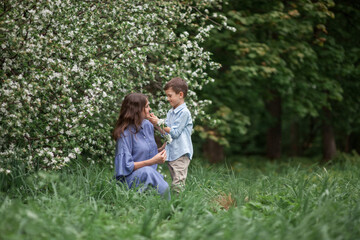 Naklejka na ściany i meble Happy and beautiful mother and son in clothes of blue tones are hugging next to a blossoming apple tree. The concept of spring, motherhood, happy family, relationships.