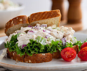 Chicken Salad Sandwich on Whole Grain Bread