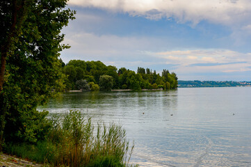 Nature of the Lake Constance (Bodensee) on the Rhine at the  foot of the Alps