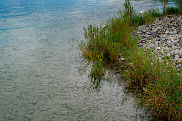 Nature of the Lake Constance (Bodensee) on the Rhine at the  foot of the Alps