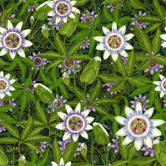Seamless pattern with tropical passion flowers