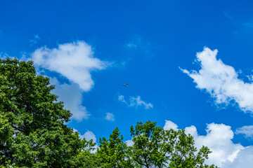 Small plane on a sky in the forest