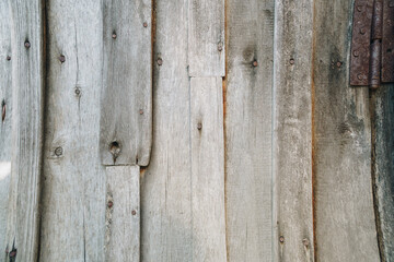 Abstract wooden background. Texture of an old tree