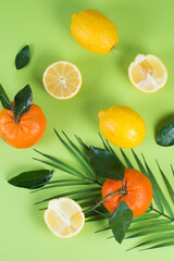 Juicy citrus fruits, lemons and tangerines on a colored green background, creative flat lay, top view