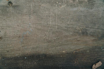Abstract wooden background. Texture of an old tree