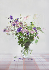 Home still life with colors of different colors aquilegia with a glass vase on the table light blurred background closeup