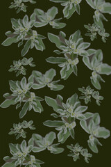 seamless floral abstract background pattern