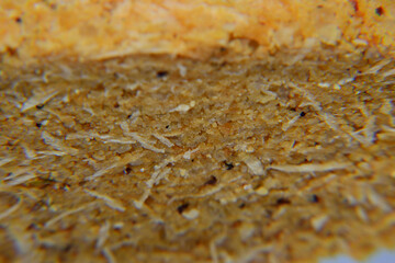 Texture of coconut flour and grated
