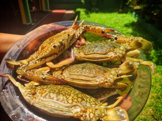 cooked crab on a plate