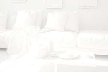 modern white mock up with sofa,pillows,plaid,table,cup,plane and flowers interior design. 3D illustration