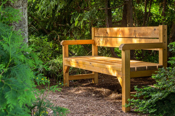 Fototapeta na wymiar Wooden bench in the Park among the trees. Recreation area in the Park. Privacy in the shade and tranquility. The place of love dates in the city Park. Bench among the green firs.