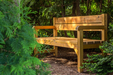 Obraz premium Wooden bench in the Park among the trees. Recreation area in the Park. Privacy in the shade and tranquility. The place of love dates in the city Park. Bench among the green firs.