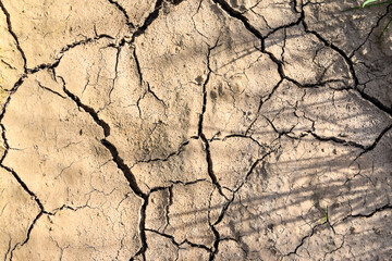 dry cracked earth