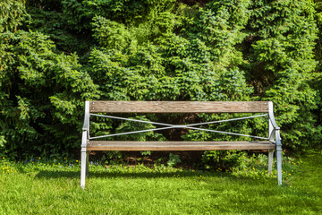 Wooden bench in the city green park. A lonely bench among the trees.