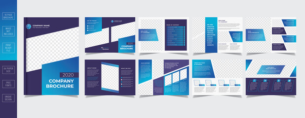 Business Company Brochure Design Template 16 Pages