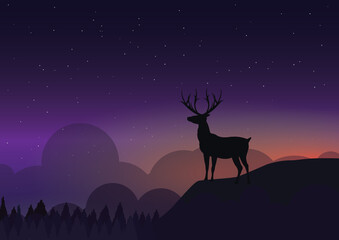 Deer Deer standing on the mountain Night Scene 