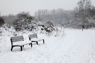 Winter landscape. Nature reserve Het Zwin at Knokke, Belgium.