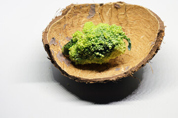 Fresh healthy broccoli isolated on white background