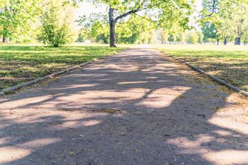 Alleys and lawns of the park on a sunny day, soft focus, focus to the foreground, blurry background