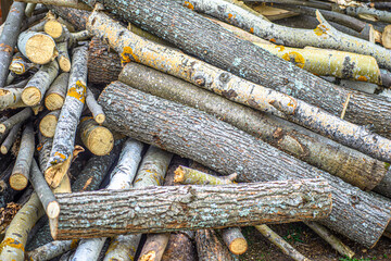 Firewood from various types of wood is stacked in a woodpile