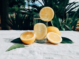 lemonade on the table