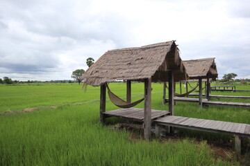Fototapeta na wymiar wooden house in the countryside