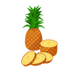 Pineapple Vector illustration isolated on white background. Juicy tropical exotic fruit - whole pineapple and sliced pieces.