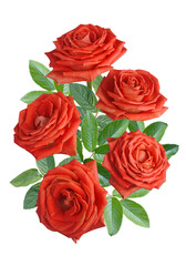 bouquet of red roses