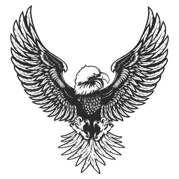 Eagle emblem isolated on white vector illustration. World symbol of freedom. Retro color logo of falcon. Eagle detailed logo.