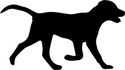 dog vector icon on white background