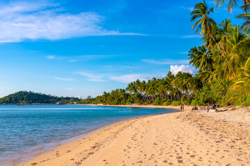 Fototapeta na wymiar beach on Koh Samui in Thailand, paradise, sunny beach, coconuts and palm trees, sunbathing and swimming in the sea, blue ocean and sky, travel to the resort, relaxation and enjoyment