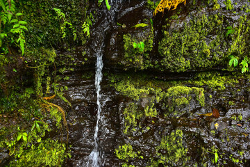 waterfalls and rocks with green moss, can be used as an aquarium background