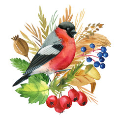 bullfinch and flowers bird, dry herbs, watercolor drawing, boho illustration, botanical painting