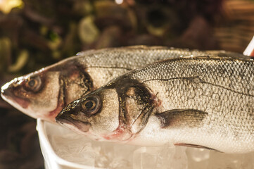 Fish Duo