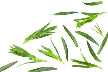 Tarragon leaves isolated on white background. Artemisia dracunculus. top view